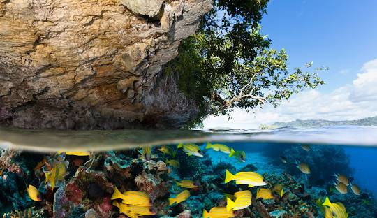 Keindahan Alam Raja Ampat